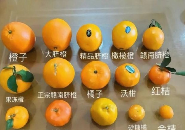 曼联官方确认卡里克转正，签约2+1年合同