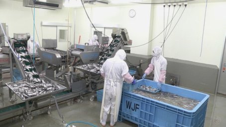 瓜帅执教意大利？卡佩罗：他习惯要人就买，国家队完全不同