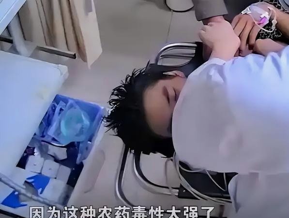 别替人洗白，你输了