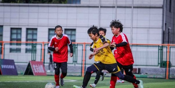 蓉城B队：职业之路的青春证明